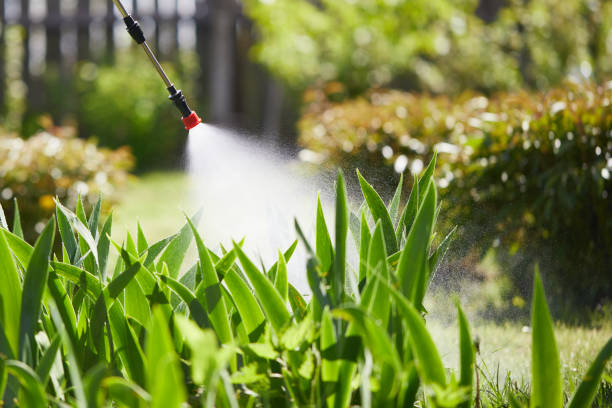 24/7 Emergency Mosquito Control experts in Pine Hill, NJ