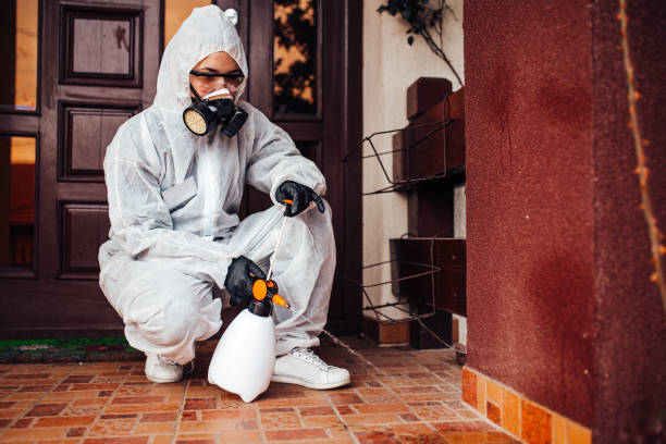 Reliable Mosquito Control contractor in Pine Hill, NJ by Show Me Pest Control